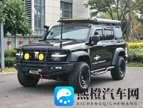 推特破解版免费观看：汽车资讯新风向：揭秘信息时代行业变革-2