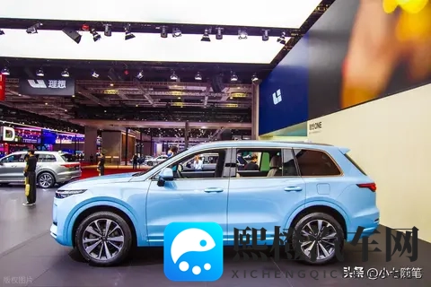 不要被销量欺骗：2025年新势力车企真实生存图景-3