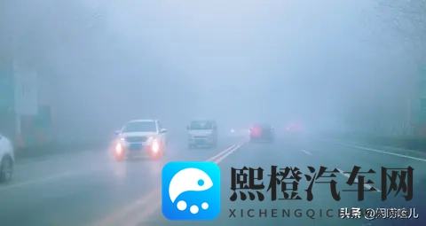 秋冬雾行 老司机都私藏的安全驾驶攻略-1