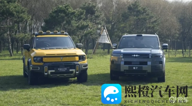 玩的老太嗷嗷叫：老妪嬉戏欢声笑语连绵不绝-3