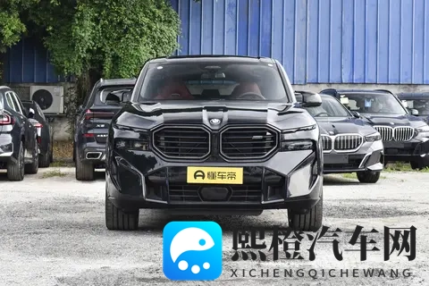 全新宝马X8登场：溜背设计引热议，智能与运动兼备瞄准中产新需求-1