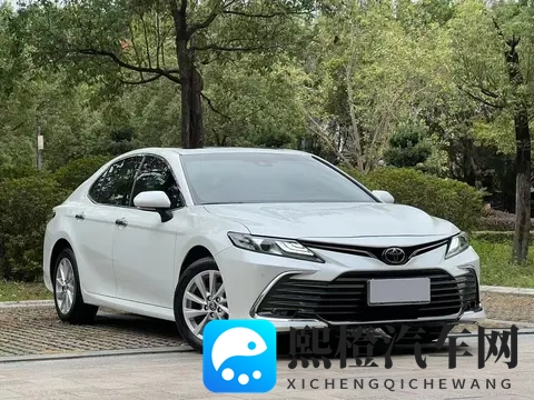 大少女哔哩哔哩更新内容预告：哔哩哔哩新动态，大少女即将更新-2