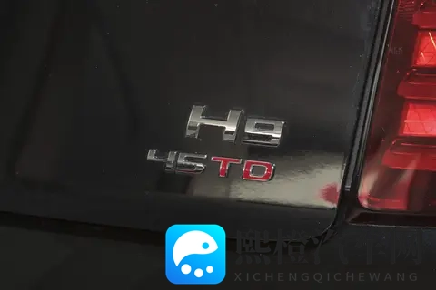 如何选 2025 款红旗 H9？结合外观、动力与场景的实用参考-1