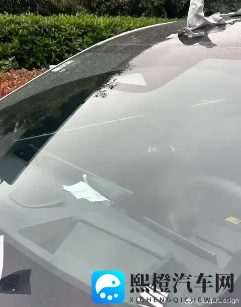 搭载单、双电机驱动系统！日产全新纯电SUV的谍照曝光-1