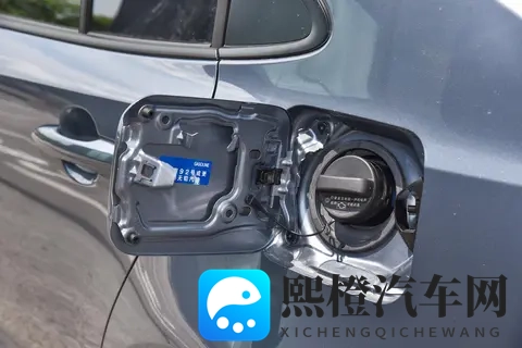 免费强奸软件：恶意软件威胁行车安全，揭秘应对之道-3