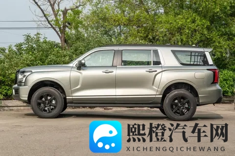 能拉货能越野,价格是坦克300的一半,配20T+8AT,分时四驱-2