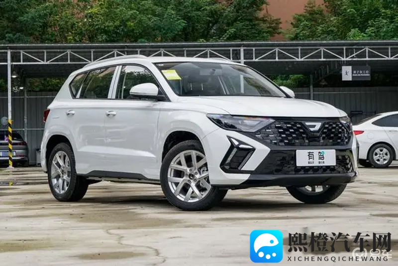 我和小 在车上后坐小杰：与好友小杰共乘，我坐车后排享受时光-1