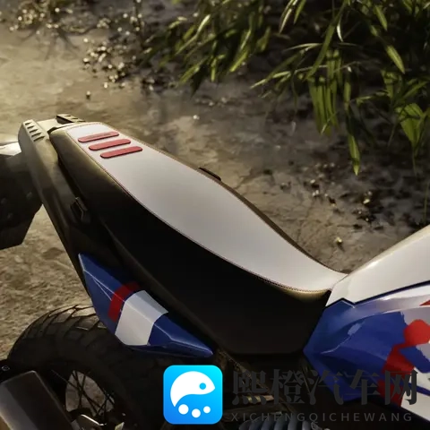 宝马双缸 F450 GS 即将上市，售价人民币6万7千5！（国外售价）-3