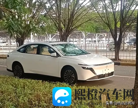 黄色404：网页迷失，黄色警告，404迷航提示-1