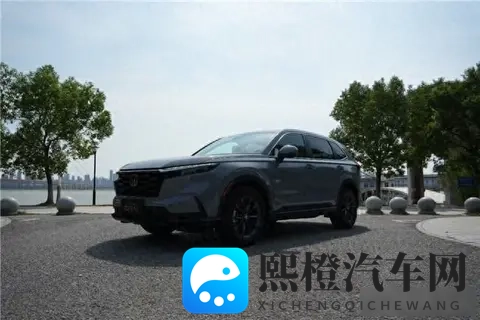 不用播放器看av:告别播放器,轻松观看视频内容-2