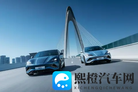 丢掉中国第一!比亚迪疲态显现、快装不下去了?-2