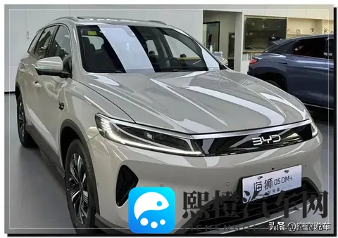 728万入手1400km续航，比亚迪海狮05直降23万，4S店为何被围爆-2