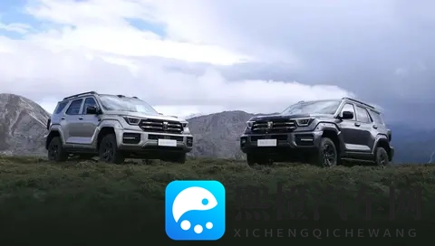 2498万元起,全新坦克400多动力齐发-3