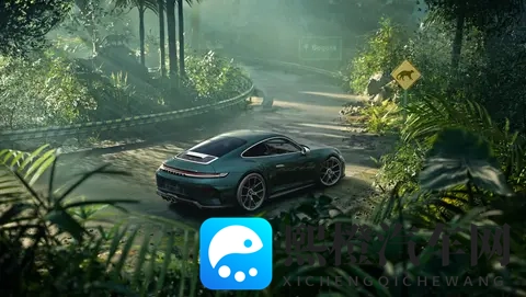 以自然景观为定制开发灵感,保时捷911 GT3 ‘Ocelot’正式发布-1