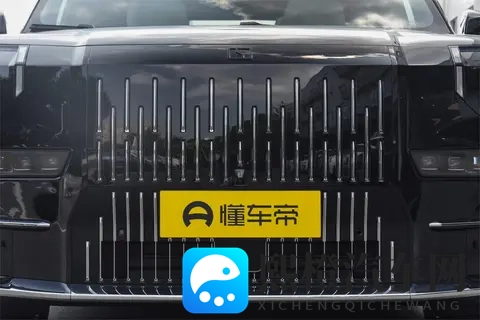 11月给家人选豪礼？豪华MPV极氪009宜商宜家实测+限时福利分享-2