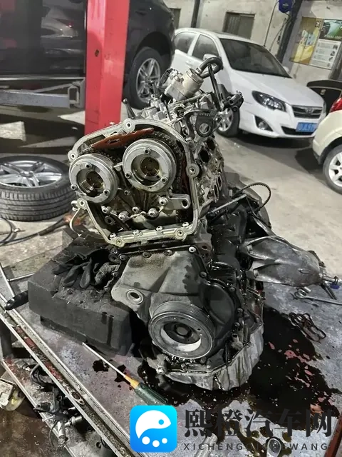 油车才是主宰,电车20年后会消失?车主的真实想法很现实-1