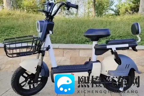 16寸轮胎更稳,电动车为啥偏爱14寸?核心不是省钱-2