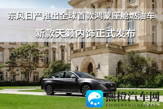 国产色情AV:汽车崛起之谜:色情AV阴影下,如何提升国际竞争力?-1