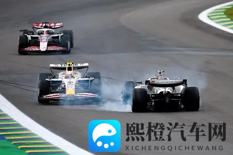 F1巴西大奖赛:诺里斯夺杆,维斯塔潘仅获第16位-2