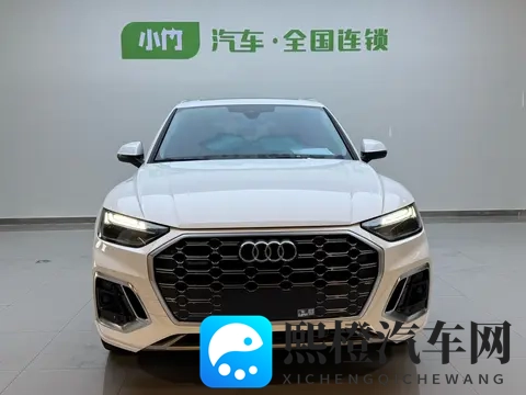 大众浴池春色胴体澡堂：汽车市场新风向：定制化驱动，科技升级挑战未来-3