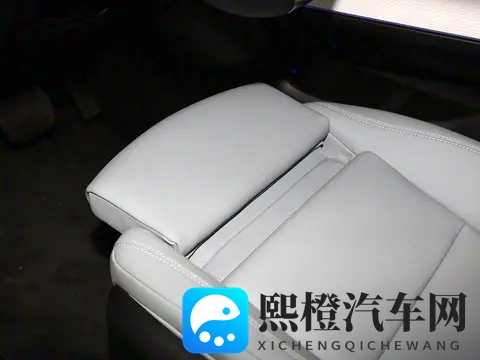 雷电将军女被 扒衣服:雷电将军女儿遭遇隐私泄露事件-3