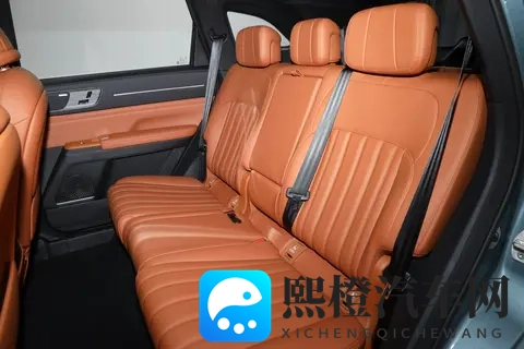 极限测试、终身质保，这台10万级中型SUV的安全性让我很意外！-3