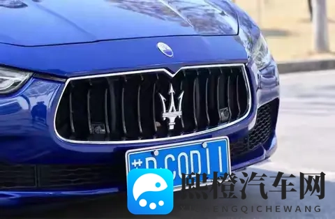 全汉字车牌上路被人举报？交警来到笑了：我真管不了-3