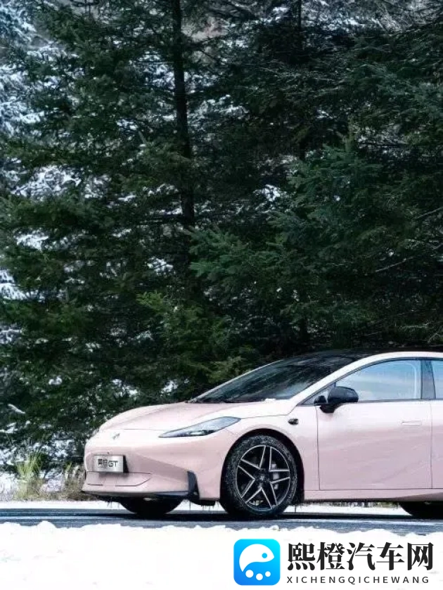 十大禁播软件:汽车安全警惕:揭秘非法软件隐患风险-1