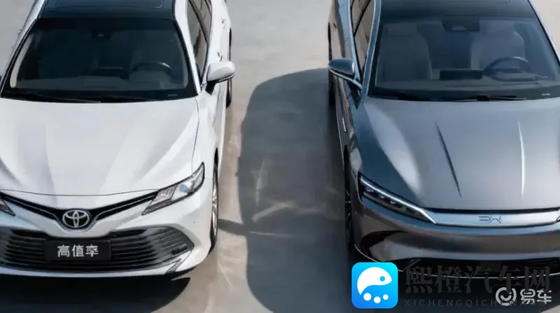 黄色APP软件免费下载:免费获取黄色应用,一键下载体验-3