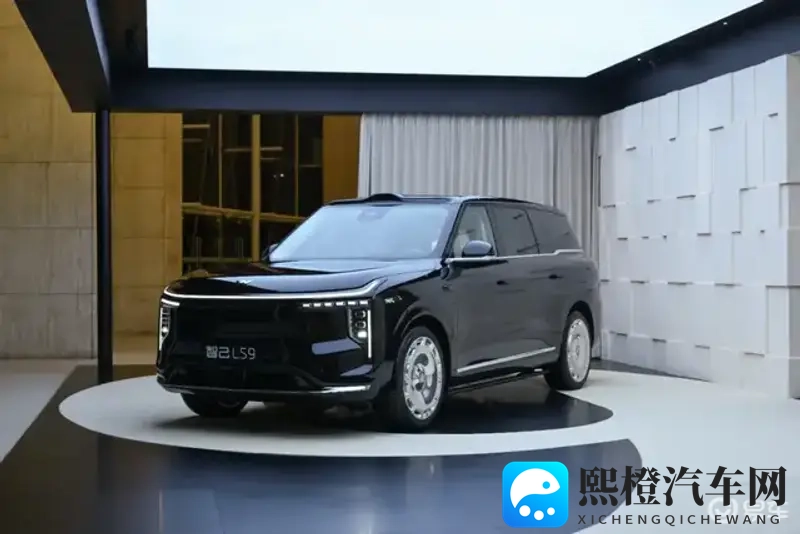 智己刘涛:在冰箱彩电的喧嚣外,我们让大车回归“好开”本位-1