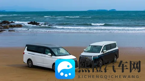 欧美寡妇性猛交XXX无码漫画：欧美少妇大胆露私密，激情互动无遮挡漫画-3