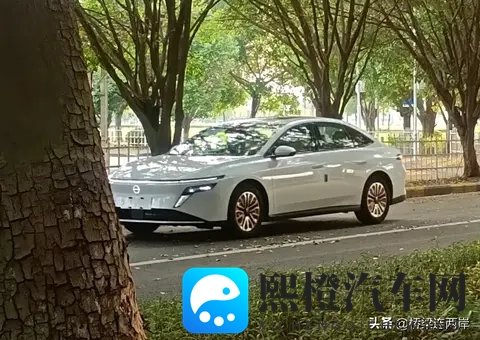 西施被焯出白水了怎么办:汽车机油变白,紧急处理指南-3