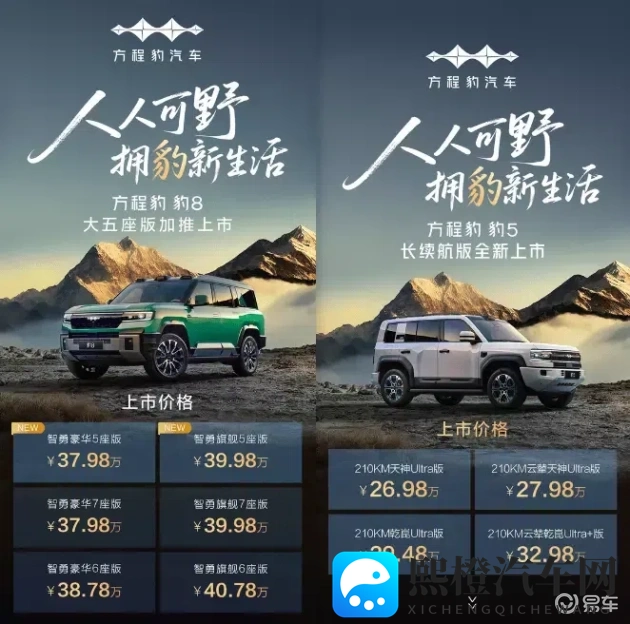 三年大片大全免费观看国语：经典影视三年集锦，免费国语音频播放-2