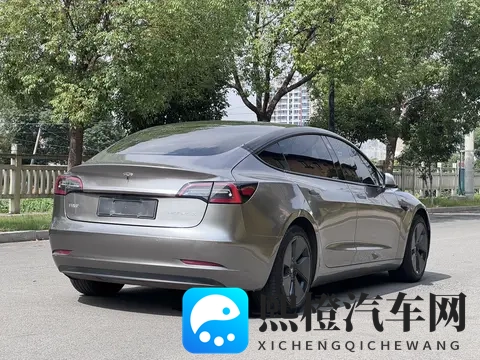 10万出头，圆你特斯拉梦！Model3代步通勤值不值？-1