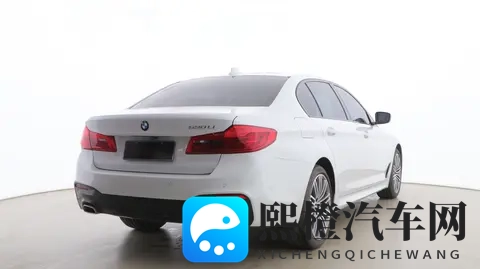 草莓视频站长:新能源汽车补贴调整,未来市场趋势揭秘-2