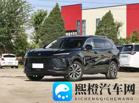 性欧美XXX老师护士：汽车服务新潮流：专业人士引领技术革新-3