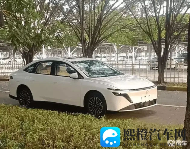 铜铜铜铜铜铜铜铜铜好大好深色：铜块色泽深沉，体积庞大引人注目-1