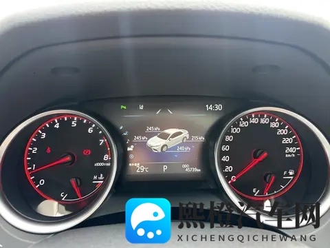 跨种族亚洲人与黑人:汽车文化:不同族群驾驶品味大揭秘-1