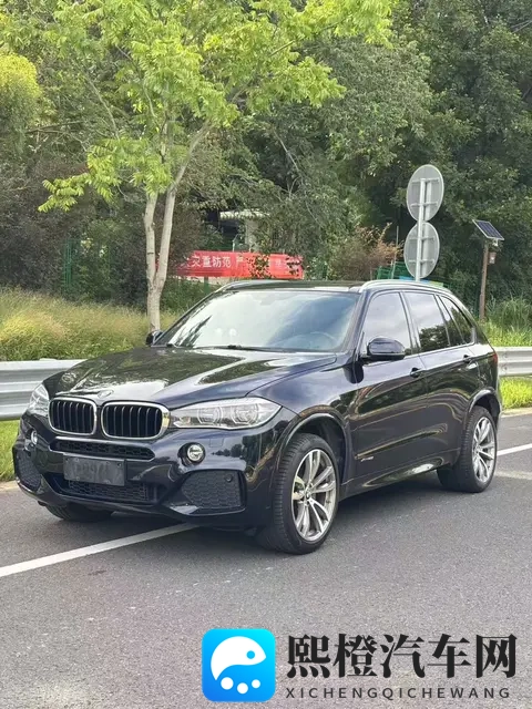 2018款宝马X5：30T+8AT，9万公里，豪华依旧，奶爸之选-2