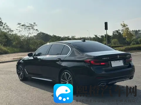 一手准新宝马5系,20T也能优雅从容,宜商宜家!-3