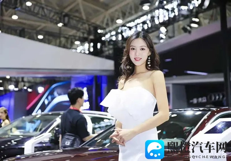 新势力的分化:从广州车展看各家生存之道-1