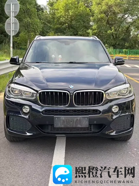 2018款宝马X5：30T+8AT，9万公里，豪华依旧，奶爸之选-3