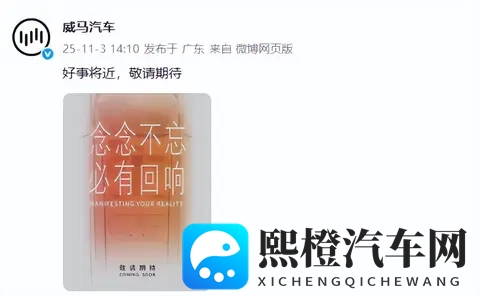 好事将近！威马汽车发布最新预告图，网友：打赢复活赛了？-2