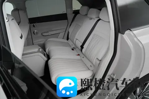 2025款星纪元ET深度体验：豪华全景大平层，值得买吗？-1