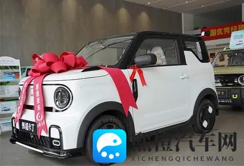 迟到的提车作业 吉利熊猫mini提车日记分享+验车步骤+当地习俗-2