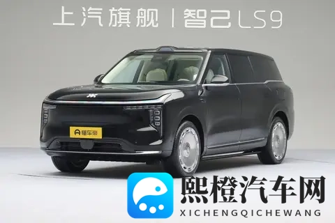 日本 护士 奶水:环保创新材料走红,汽车内饰新突破!-2