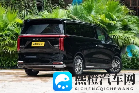 “移动客厅”不只是噱头？带全家出门一趟我就懂了！-2