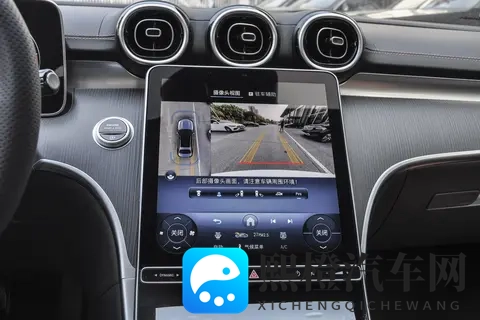 男人搞母狗一般什么心理：男性与雌性犬类行为背后的心理动机探究-2