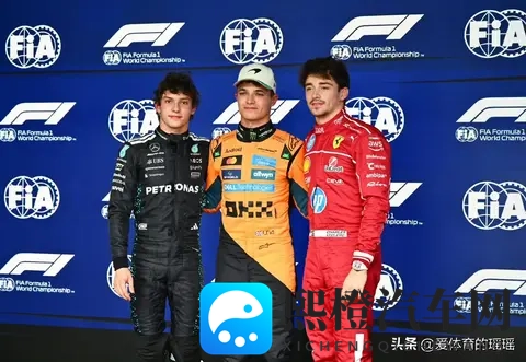 F1圣保罗站正赛排位!皮亚斯特里迎爆发获第四!安东内利连创新高-1