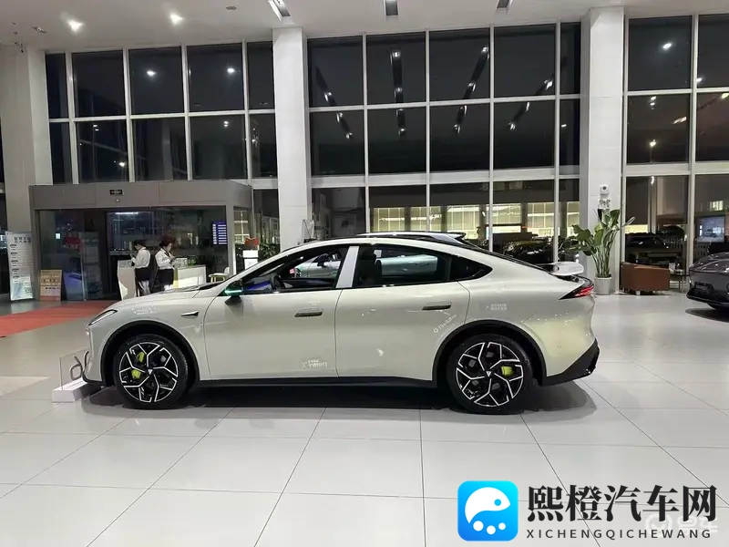 深蓝L06新车主-1